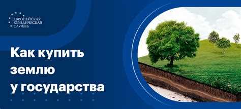 Когда и как можно перевести участок из аренды в собственность