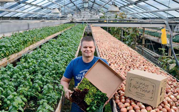 Особенности получения земли через аукцион и без торгов