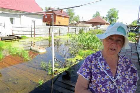 Как сохранить или распечатать информацию об ограничениях