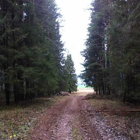Подключение к инженерным сетям и ввод объектов в эксплуатацию