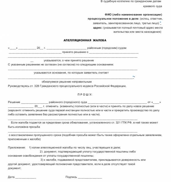 Как избежать распространённых ошибок при подаче апелляции