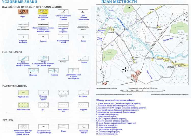 Как правильно указывать номер пункта при составлении договора