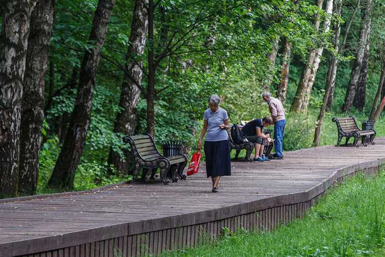 Сбор и подготовка необходимых документов для подачи заявления
