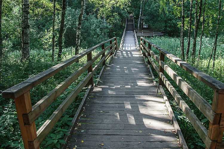 Как приватизировать лесопарковую зону в москве Как приватизировать лесопарковую зону в москве