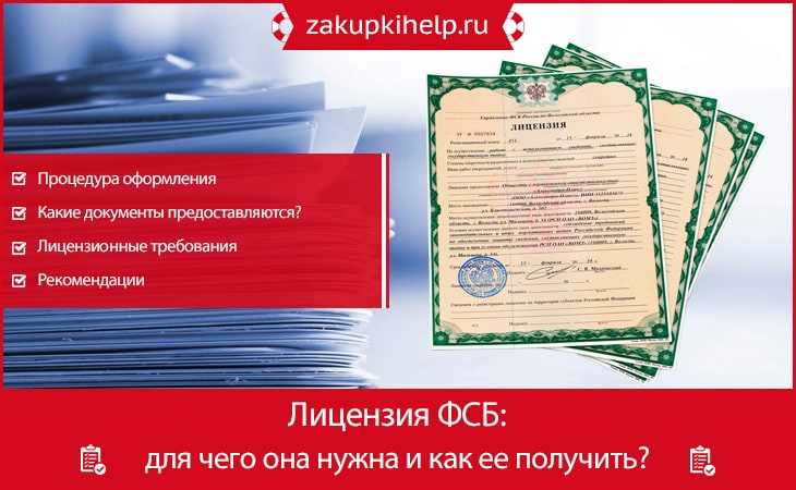 Как проверить соответствие лицензии заявленному виду деятельности