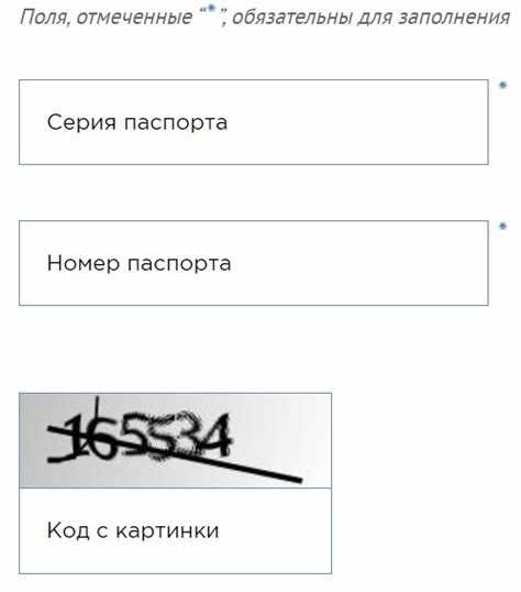 Как проверить паспорт через официальный сайт МВД