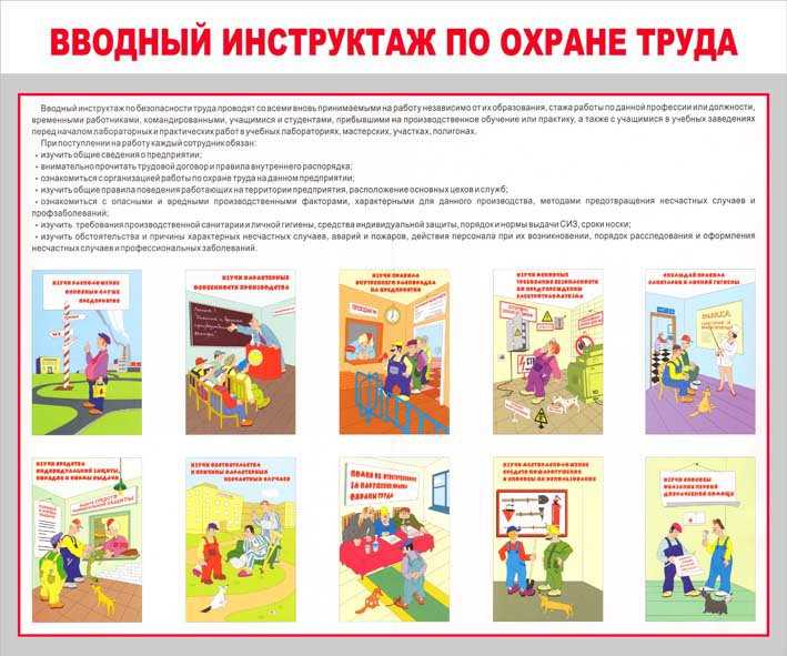 В какие сроки необходимо внести данные о проведенном инструктаже