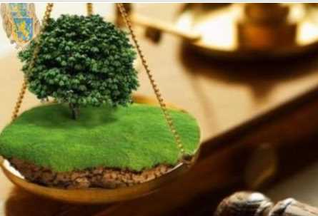 В каких случаях аукцион признаётся несостоявшимся