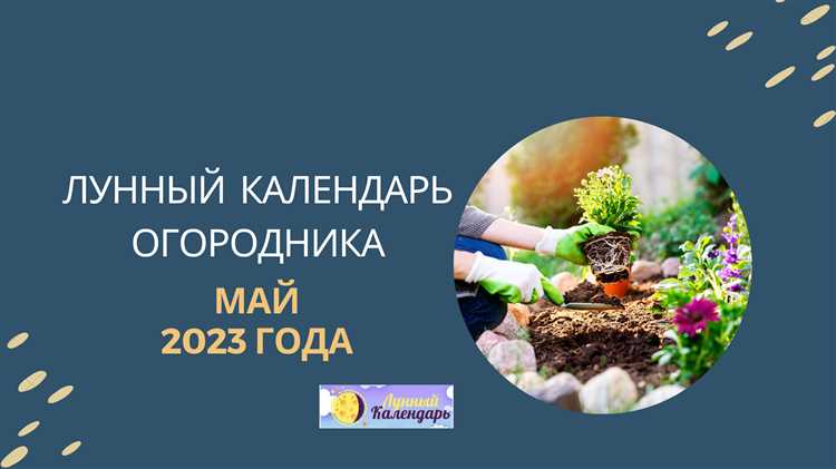 Работает ли медицинский персонал сада в майские дни