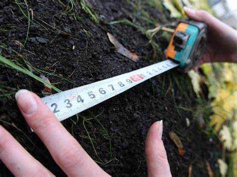 Порядок подачи заявления о разделе участка через МФЦ