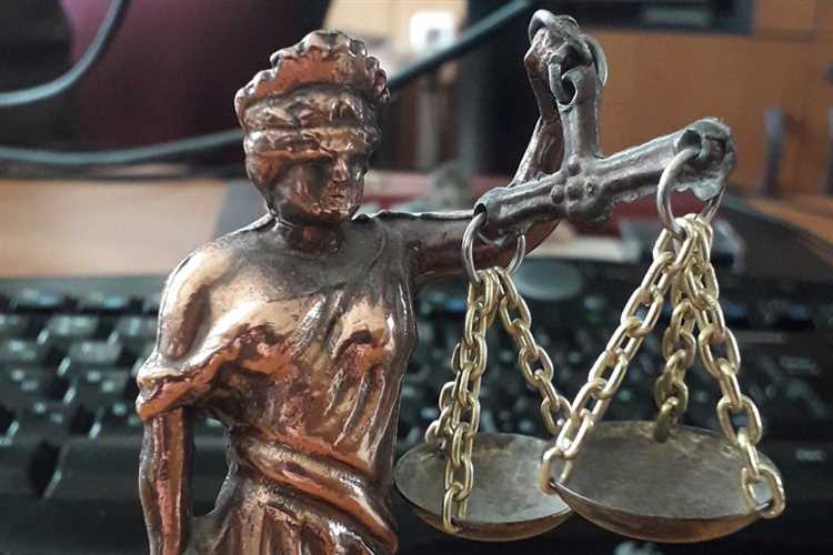 Какие документы и аргументы представить суду