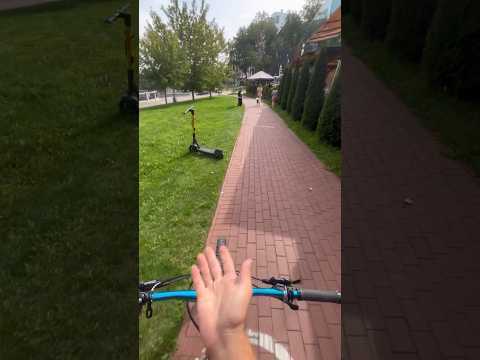 Влияние городских правил на выбор места для парковки