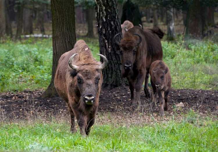 Расчёт социально‑экономических последствий для муниципалитета