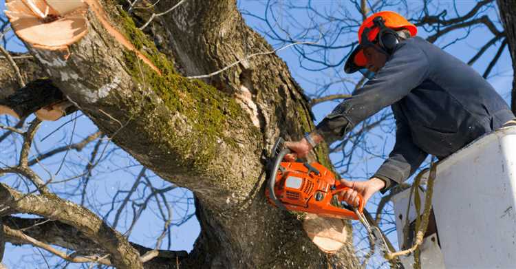Какие документы понадобятся для подачи заявления