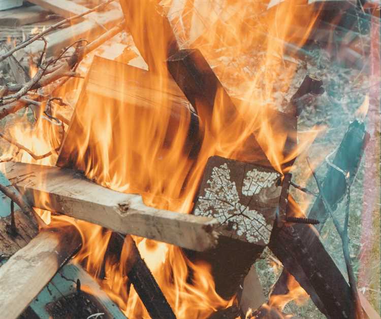 Как сжигать мусор на даче по закону и без штрафов Как сжигать мусор на даче по закону и без штрафов