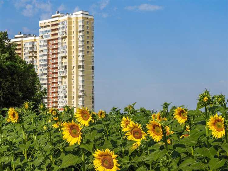 Порядок проведения общего собрания собственников