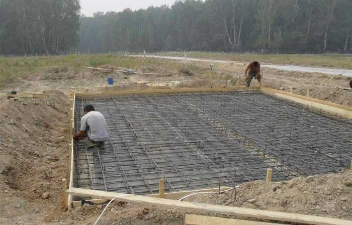 Обзор признаков болотистой местности: что нужно учитывать