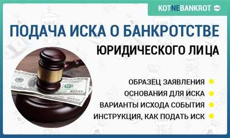Пошаговая инструкция для поиска информации о банкротстве через ЕФРСБ