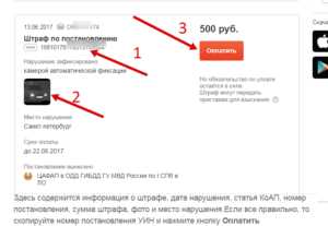 Как правильно указать данные при поиске УИН по фамилии
