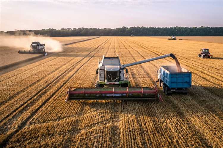 Как устанавливается размер компенсационной пошлины