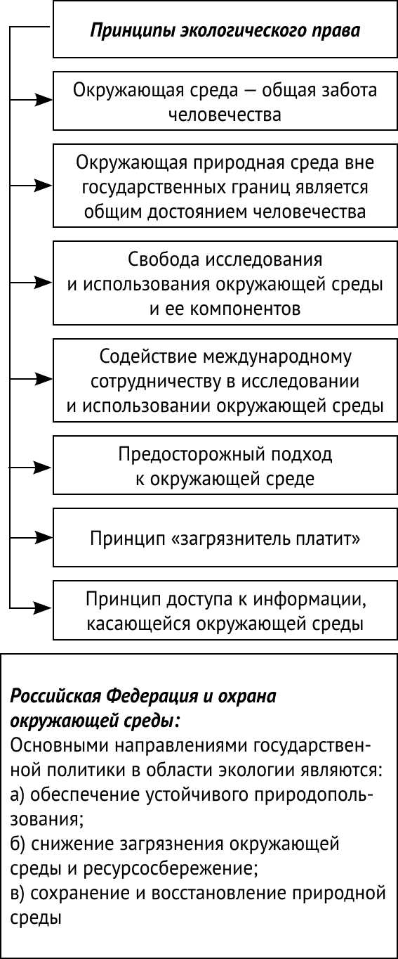 Как подать жалобу на нарушение прав собственности в международных организациях
