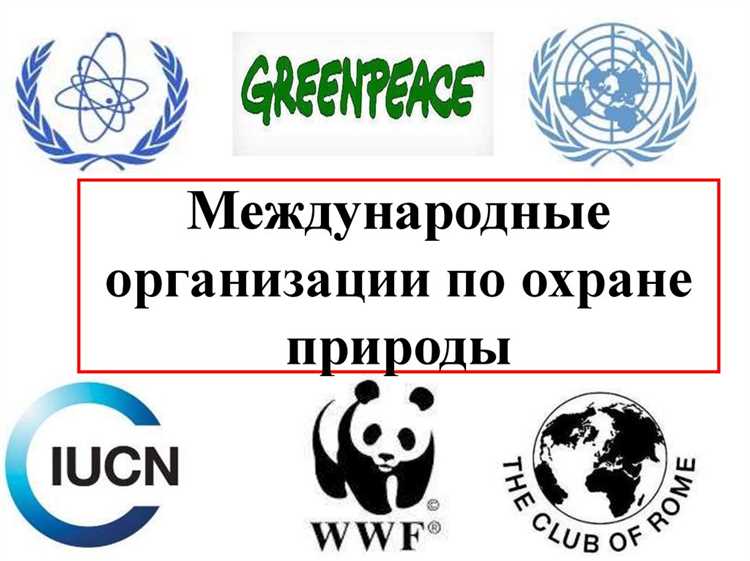 Какая международная организация занимается защитой собственности Какая международная организация занимается защитой собственности