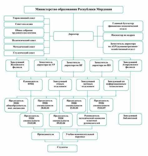 Процесс получения лицензии для образовательных учреждений, созданных физическими лицами