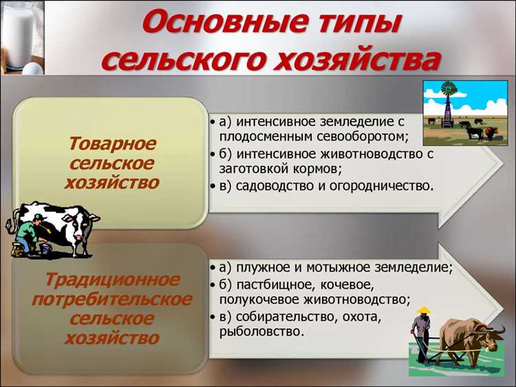 Строительная отрасль и её роль в обеспечении инфраструктуры