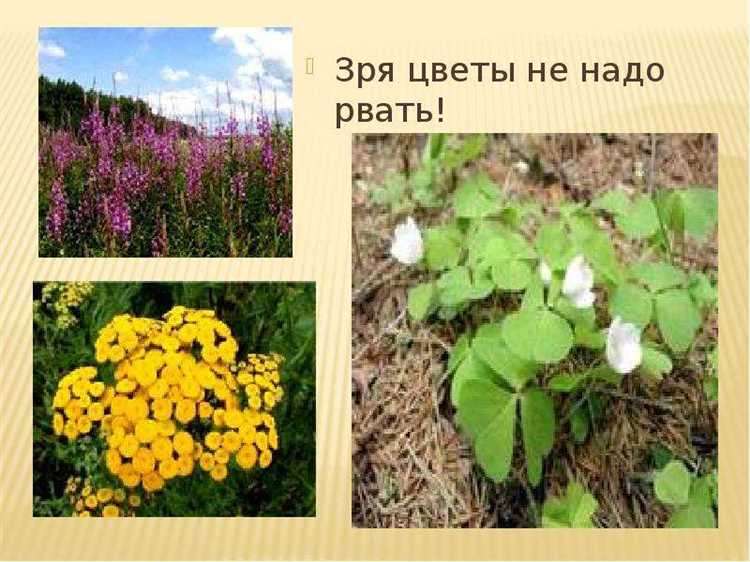 Обстоятельства, смягчающие и отягчающие ответственность