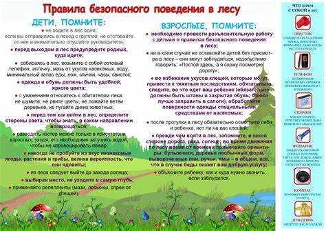 Уголовная ответственность за незаконную вырубку и повреждение леса