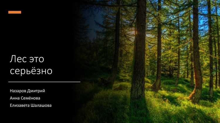 Административная ответственность