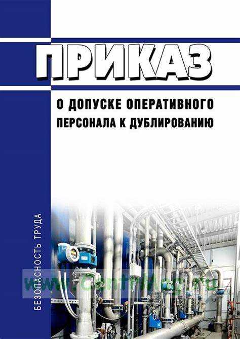 Риски, связанные с недостаточной или избыточной продолжительностью дублирования