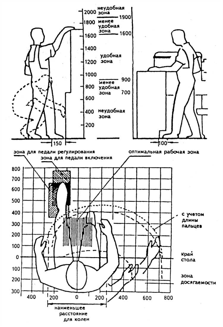 Оптимальная высота стола и стула для снижения нагрузки на шею