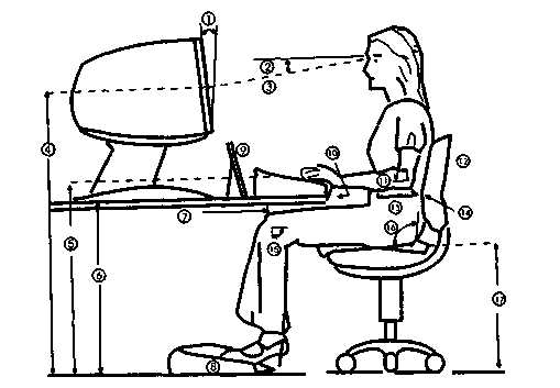 Важность регулярных смен поз и коротких перерывов для здоровья