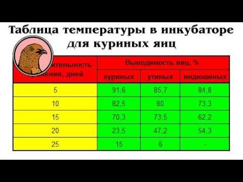 Как температура влияет на самочувствие пассажиров в поезде