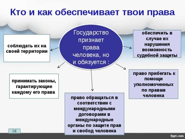 Как обратиться к уполномоченному и какие вопросы он рассматривает