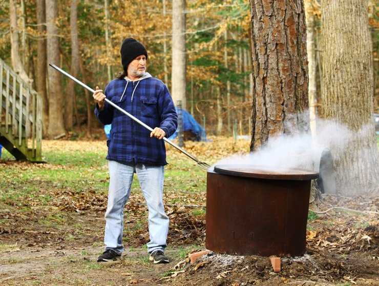 Больные и аварийные деревья: критерии самостоятельного спила