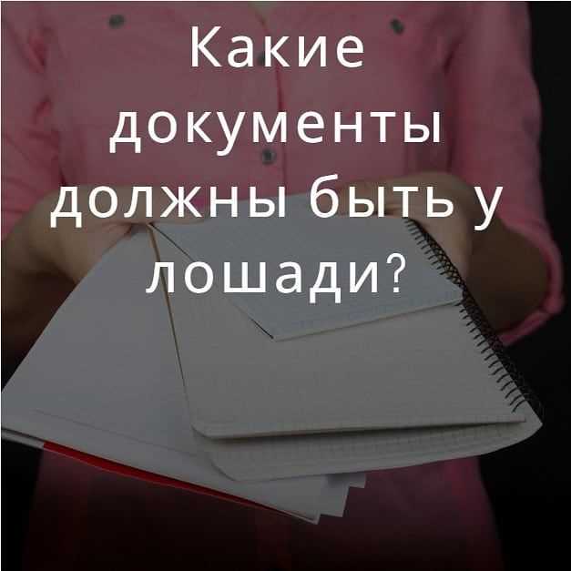 Какие документы должны быть на сайте Какие документы должны быть на сайте