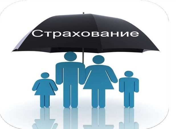 Порядок предоставления водительского удостоверения