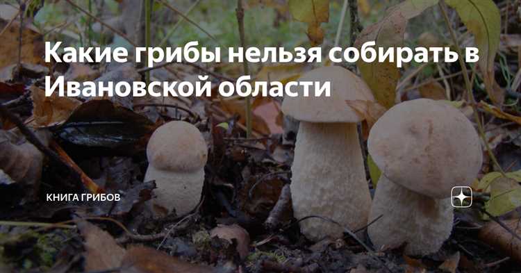 Ответственность за сбор грибов на охраняемых природных территориях