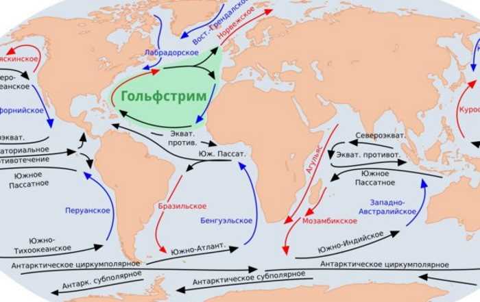 Какие из перечисленных доводов не относятся к вновь открывшимся обстоятельствам Какие из перечисленных доводов не относятся к вновь открывшимся обстоятельствам