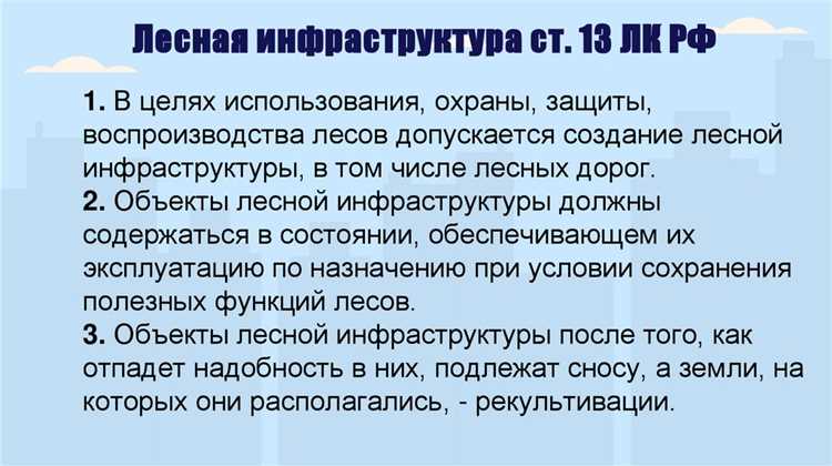 Постоянное (бессрочное) пользование лесным участком: кто может оформить