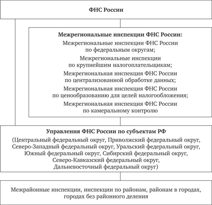 Налоговые инспекции субъектов РФ: особенности контроля на региональном уровне