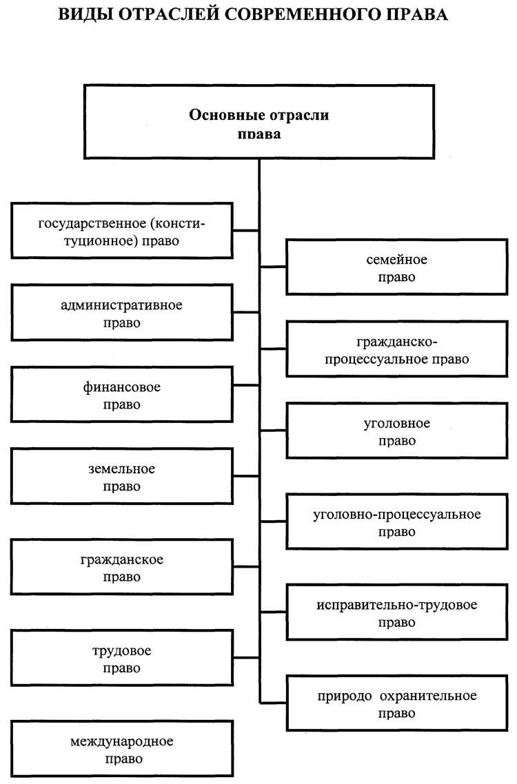 Какие отрасли относятся к публичному праву Какие отрасли относятся к публичному праву