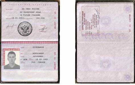 Порядок внесения паспортных данных в договор и образцы формулировок