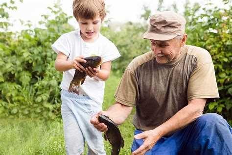 Права бабушки при ограничении или лишении родительских прав родителей