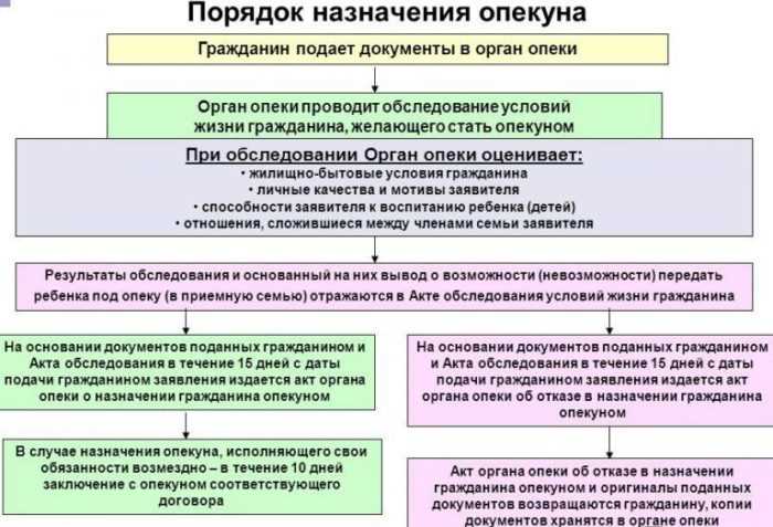 Какие права имеет опекун над недееспособным