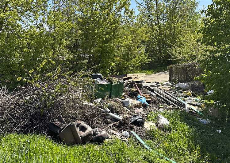 Предписание с требованием приостановить деятельность