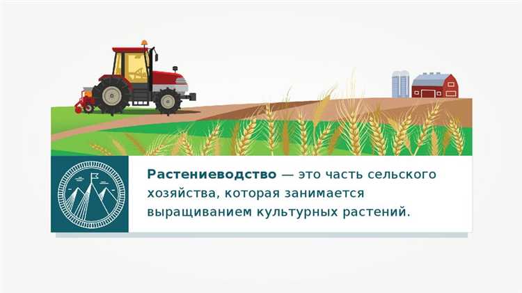 Какие предприятия относятся к апк Какие предприятия относятся к апк