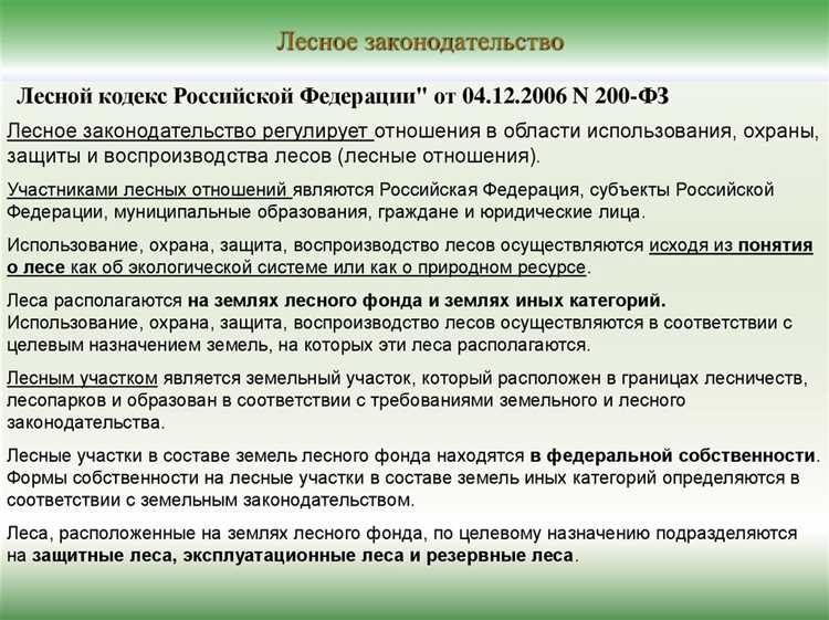 Правовое значение принципа устойчивого пользования лесами